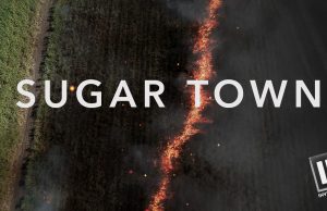 Sugar Town